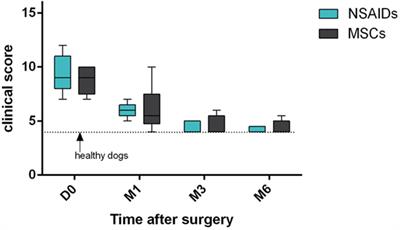 Evaluation of the Effect of a Single Intra-articular Injection of Allogeneic Neonatal Mesenchymal Stromal Cells Compared to Oral Non-Steroidal Anti-inflammatory Treatment on the Postoperative Musculoskeletal Status and Gait of Dogs over a 6-Month Period after Tibial Plateau Leveling Osteotomy: A Pilot Study